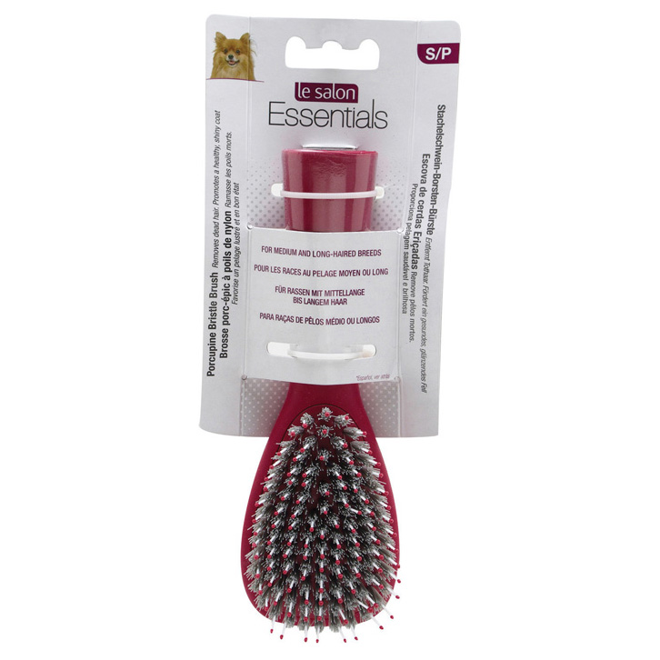 2994_le_salon_brosse_porc_petcity